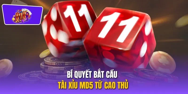 Bí quyết bắt cầu tài xỉu md5 từ cao thủ