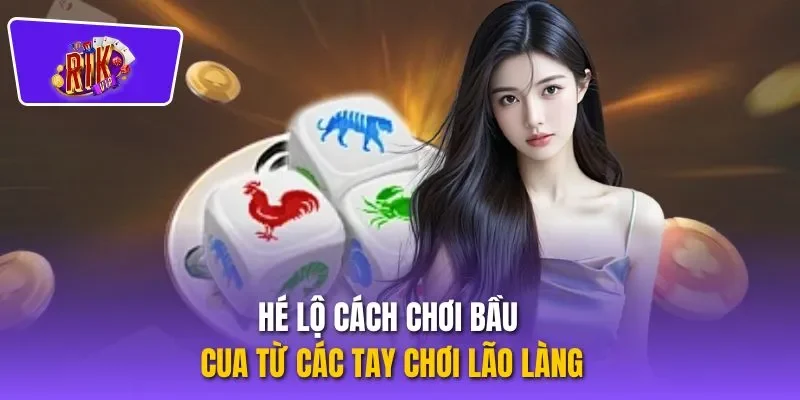 Hé lộ cách chơi bầu cua từ các tay chơi lão làng