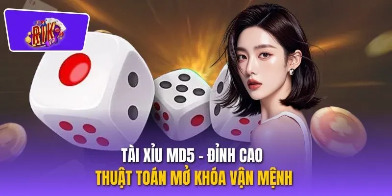 Tài xỉu MD5 - Đỉnh Cao Thuật Toán Mở Khóa Vận Mệnh